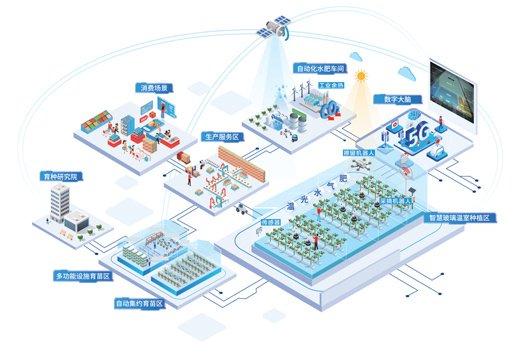 植物工廠有了智慧大腦 大數據賦能設施農業新變革