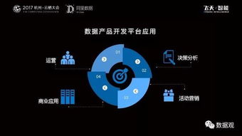 阿里數(shù)據(jù)服務(wù)產(chǎn)品開發(fā)及大數(shù)據(jù)體系實(shí)錄 從平臺(tái)構(gòu)建到服務(wù)賦能